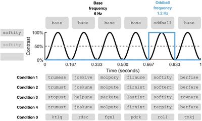 Automatic morpheme identification across development: Magnetoencephalography (MEG) evidence from fast periodic visual stimulation